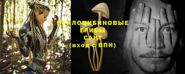 таблы Лабытнанги