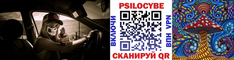 где купить наркоту Сясьстрой Псилоцибиновые грибы Cubensis